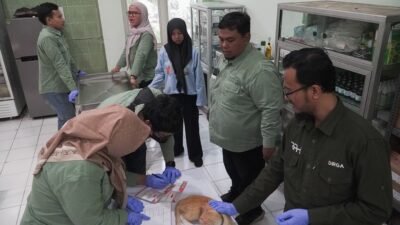 Cegah Rabies, Sidoarjo Gelar Vaksinasi Gratis Hewan