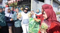 CFD Perdana Durungbedug, 360 UMKM Bangkit Ekonomi Desa