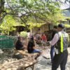 Polsek Taman Tanggapi Dugaan Judi Sabung Ayam Sambibulu