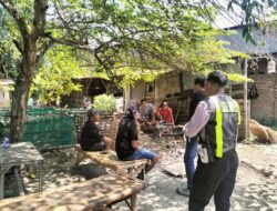 Polsek Taman Tanggapi Dugaan Judi Sabung Ayam Sambibulu