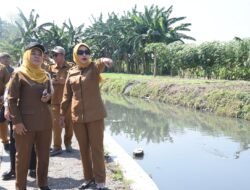 Normalisasi Sungai Dipercepat, Limbah Industri Ditegur Tegas