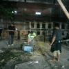 Viral di Media Sosial, Polsek Waru Tindak Bongkar & Musnahkan Arena Sabung Ayam