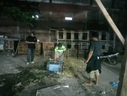 Viral di Media Sosial, Polsek Waru Tindak Bongkar & Musnahkan Arena Sabung Ayam