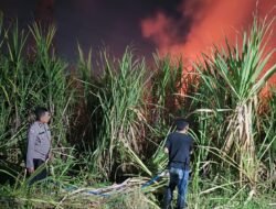 Polsek Wonoayu Bersama Warga Padamkan Kebakaran Lahan Tebu di Desa Popoh