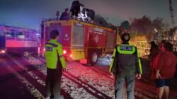 Api Tak Meluas, Polsek Krian Bergerak Cepat Padamkan Kebakaran Lahan di Watugolong