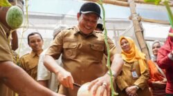 Inovasi Greenhouse, Bupati Subandi Resmikan Wisata Petik Melon Premium Desa Sidorejo