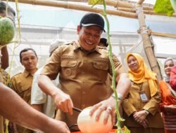 Inovasi Greenhouse, Bupati Subandi Resmikan Wisata Petik Melon Premium Desa Sidorejo